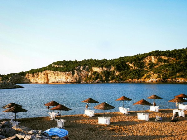 Évolution de la Cardiologie : Un Parcours Médical Fascinant à Travers les Époques