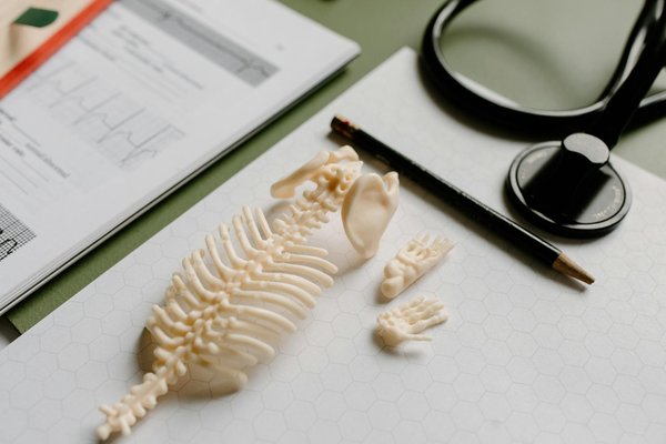 L'Importance Vitale d'un Suivi Cardiologique Fréquent pour Maximiser Votre Santé